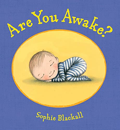 Imagen de archivo de Are You Awake?: A Picture Book a la venta por ThriftBooks-Dallas