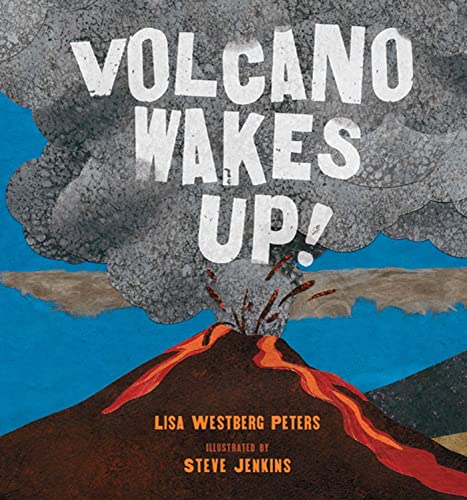 Beispielbild fr Volcano Wakes Up! zum Verkauf von Better World Books