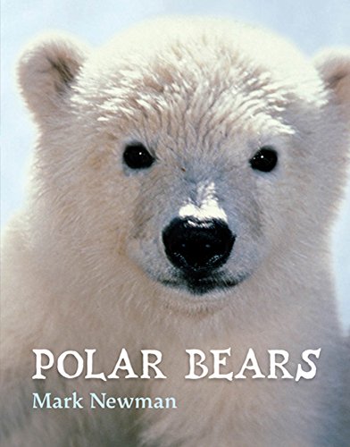 Beispielbild fr Polar Bears zum Verkauf von Irish Booksellers