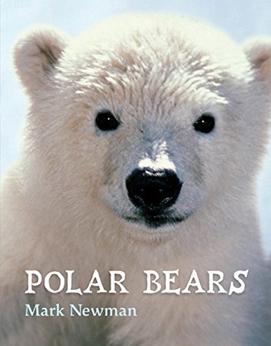 Stock image for Polar Bears for sale by Irish Booksellers
