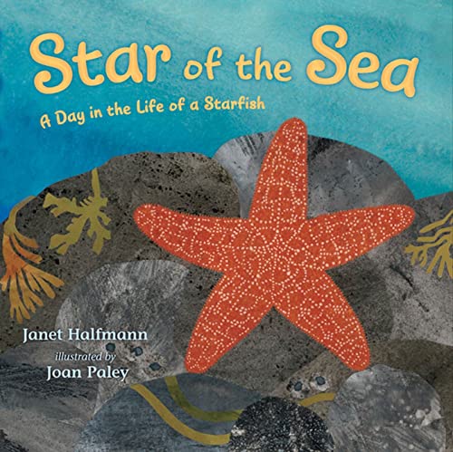 9780805090734: Star of the Sea: A Day in the Life of a Starfish