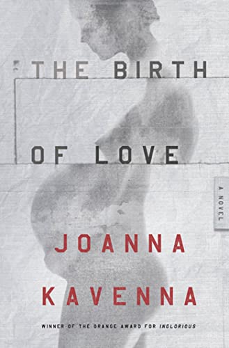 Stock image for The Birth of Love : A Novel for sale by Better World Books