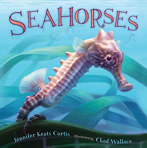 Beispielbild fr Seahorses zum Verkauf von ZBK Books