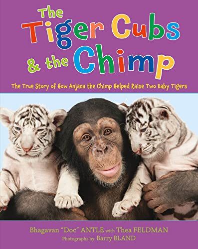 Beispielbild fr The Tiger Cubs and the Chimp : The True Story of How Anjana the Chimp Helped Raise Two Baby Tigers zum Verkauf von Better World Books
