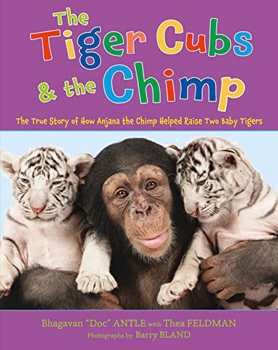 Imagen de archivo de The Tiger Cubs and the Chimp : The True Story of How Anjana the Chimp Helped Raise Two Baby Tigers a la venta por Better World Books