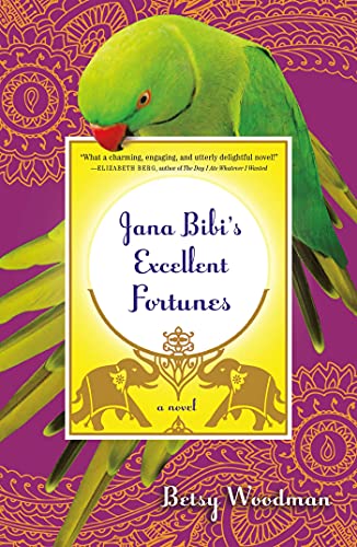 Beispielbild fr Jana Bibi's Excellent Fortunes: A Novel (Jana Bibi Adventures, 1) zum Verkauf von Wonder Book