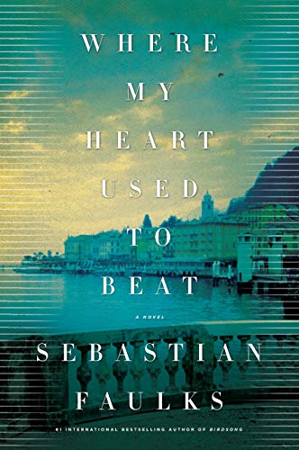 Stock image for Where My Heart Used to Beat: A Novel for sale by Gulf Coast Books