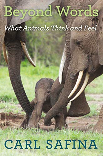 9780805098884: Beyond Words: What Animals Think and Feel
