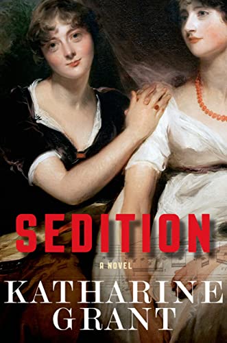 Imagen de archivo de Sedition: A Novel a la venta por Your Online Bookstore