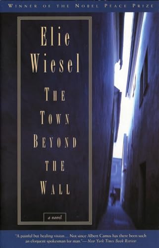 9780805210453: The Town Beyond the Wall: A Novel