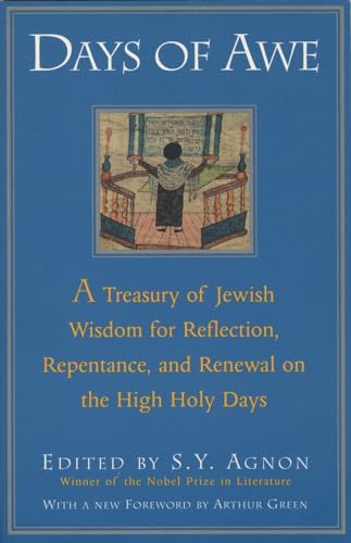 Imagen de archivo de Days of Awe: A Treasury of Jewish Wisdom for Reflection, Repentance, and Renewal on the High Holy Days a la venta por SecondSale