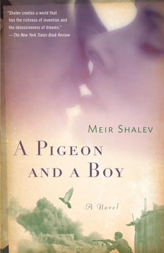 Beispielbild fr A Pigeon and a Boy: A Novel zum Verkauf von SecondSale