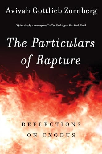 Stock image for The Particulars of Rapture: Reflections on Exodus for sale by Goodwill of Colorado