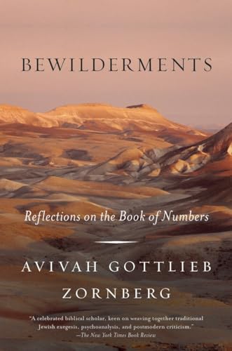 Imagen de archivo de Bewilderments: Reflections on the Book of Numbers a la venta por SecondSale