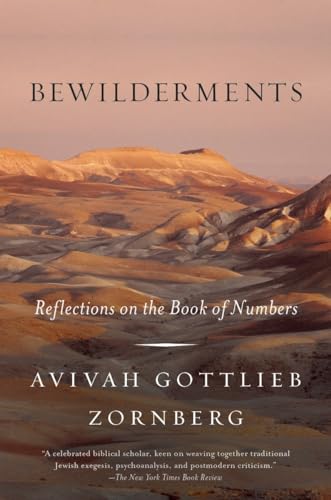 9780805212518: Bewilderments: Reflections on the Book of Numbers