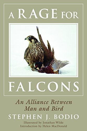 Imagen de archivo de Rage for Falcons a la venta por ThriftBooks-Atlanta