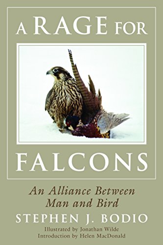 Stock image for Rage for Falcons for sale by ThriftBooks-Atlanta