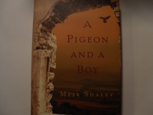 Imagen de archivo de A Pigeon and a Boy: A Novel a la venta por Goodwill of Colorado