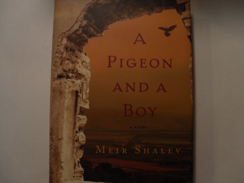 9780805242515: A Pigeon and a Boy: A Novel