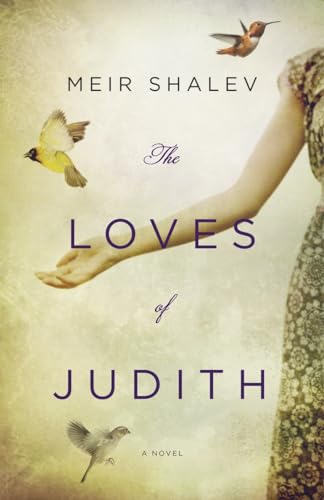 9780805242867: The Loves of Judith: A Novel
