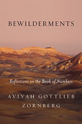 Stock image for Bewilderments: Reflections on the Book of Numbers for sale by ThriftBooks-Atlanta