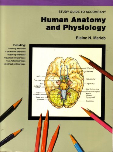 9780805301243: Human Anatomy and Physiology Study Guide