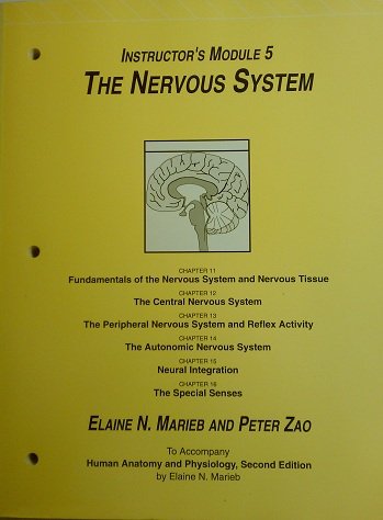 Stock image for Human Anatomy & Physiology - Instructor's Module 5 - The Nervous System for sale by Irish Booksellers