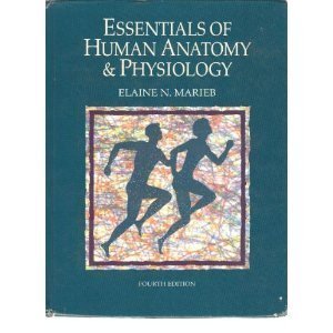 Beispielbild fr Essentials of Human Anatomy and Physiology : School Edition zum Verkauf von Better World Books