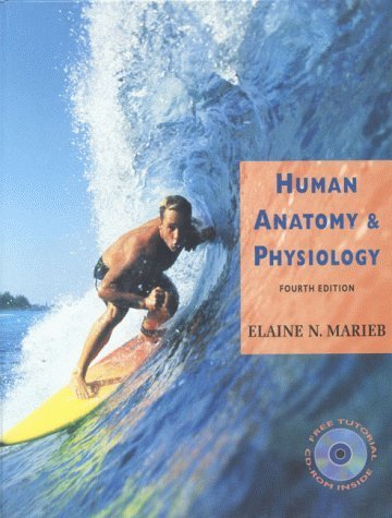 Beispielbild fr Human Anatomy and Physiology (4th Edition) zum Verkauf von AwesomeBooks