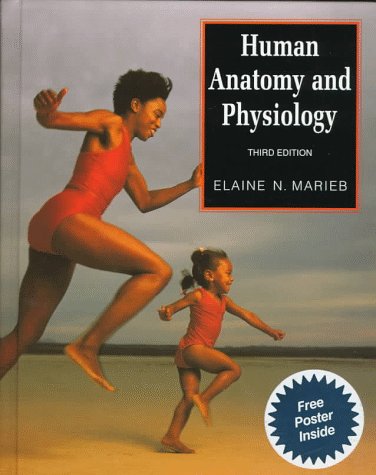 Beispielbild fr Human Anatomy & Physiology zum Verkauf von beat book shop