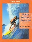 Imagen de archivo de Study Guide for Human Anatomy & Physiology a la venta por Wonder Book