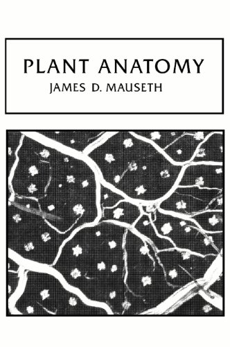 Beispielbild fr Plant Anatomy zum Verkauf von Anybook.com