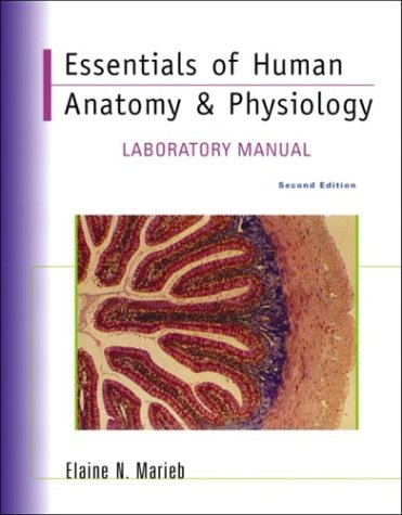 9780805353976: Essentials of Human Anatomy & Physiology Lab Manual
