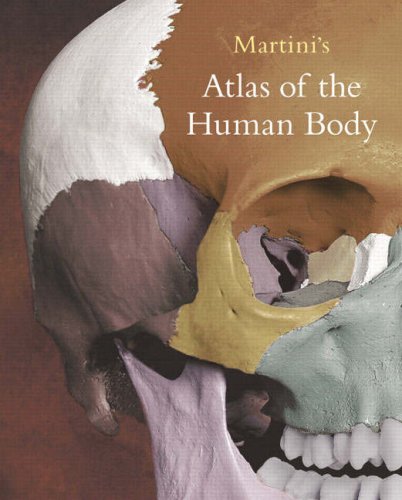Imagen de archivo de Martini's Atlas Of The Human Body: Atlas Of The Human Body a la venta por a2zbooks