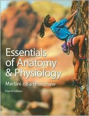 Imagen de archivo de Essentials of Anatomy and Physiology a la venta por HPB-Red