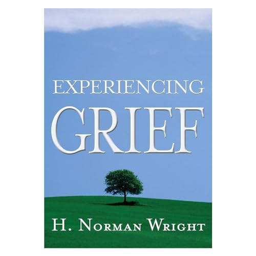 Imagen de archivo de Experiencing Grief a la venta por Top Notch Books