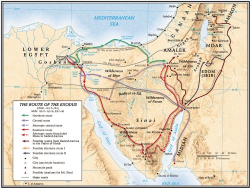 9780805439724: The Route of the Exodus Map