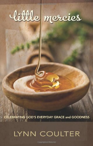 Imagen de archivo de Little Mercies: Celebrating God's Everyday Grace and Goodness a la venta por Half Price Books Inc.