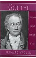 9780805716856: Goethe: Goethe Revisited: 884 (Twayne's World Authors Series)