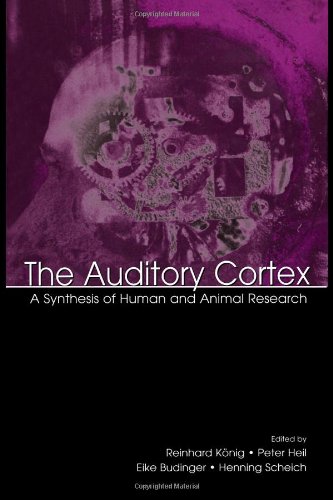 Stock image for The Auditory Cortex: A Synthesis of Human and Animal Research for sale by HPB-Red
