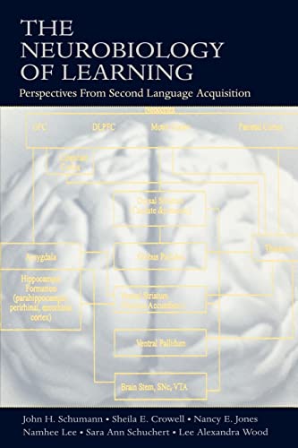 Stock image for The Neurobiology of Learning : Perspectives From Second Language Acquisition for sale by Blackwell's