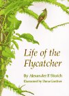 9780806129198: Life of the Flycatcher (Animal Natural History Series)