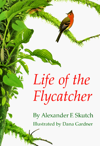 9780806129495: Life of the Flycatcher (Animal Natural History Series, 3)