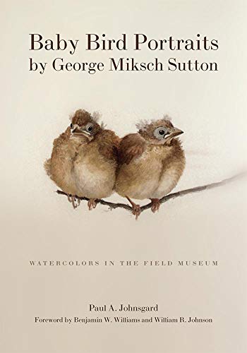 Stock image for Baby Bird Portraits by George Miksch Sutton : Watercolors in the Field Museum for sale by Better World Books