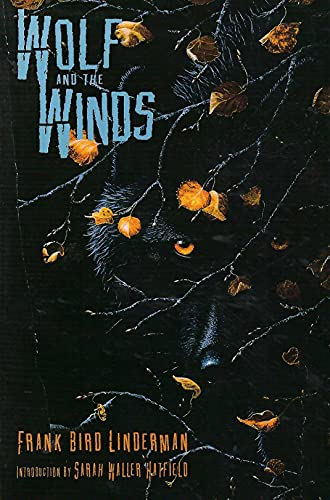 9780806133782: Wolf and the Winds