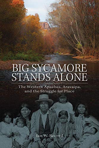 Big Sycamore Stands Alone: The Western Apaches, Aravaipa, and the Struggle for Place