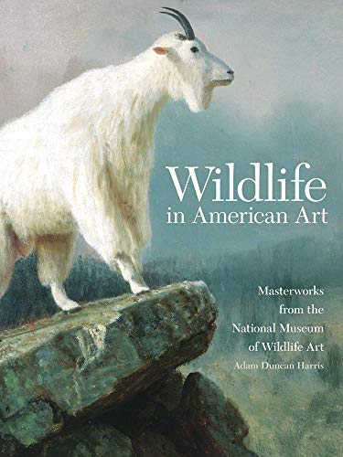 Imagen de archivo de Wildlife in American Art: Masterworks from the National Museum of Wildlife Art a la venta por 2nd Life Books