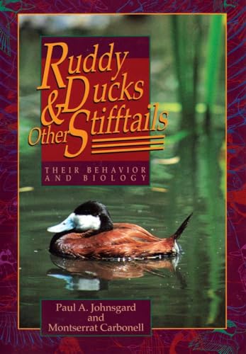 Stock image for Ruddy Ducks and Other Stifftails: Their Behavior and Biology (Animal Natural History) for sale by Lucky's Textbooks