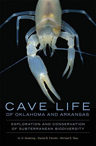 Stock image for Cave Life of Oklahoma and Arkansas: Exploration and Conservation of Subterranean Biodiversity (Animal Natural History Series) for sale by Reader's Corner, Inc.