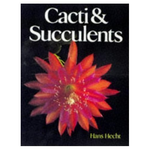 Beispielbild fr CACTI AND SUCCULENTS zum Verkauf von WorldofBooks